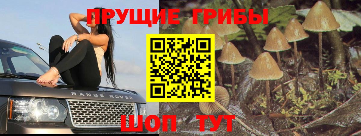 Бор  Галлюциногенные грибы Magic Shrooms  Вход с VPN  Галлюциногенные грибы Psilocybine cubensis 